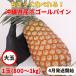  снэки сосна 1 шар ( примерно 800g~1kg) Okinawa префектура производство [ отправка 4 месяц ~] подарок на Bon Festival . рекомендация 