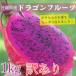 есть перевод питахайя 1Kg красный Okinawa префектура производство 