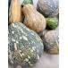  остров тыква 1 шар 1~2kg[ отправка 10~4 месяц ] симпатичный юг .