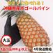  большой шар снэки сосна 2 шар (1 шар примерно 800g~1kg) Okinawa префектура производство [ отправка 4 месяц ~7 месяц ] подарок на Bon Festival . рекомендация 
