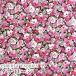 LIBERTY FABRICS Liberty принт местного производства tana заем ткань ( Eternal )<br><Leila>( Ray la)[ розовый ]3633256BE