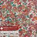 LIBERTY FABRICS Хƥץ ǥ(ŷ)ϡNell, Annie & May(ͥ롢ˡᥤ)ڥ֥饦󥪥󥸡3635209-P25C