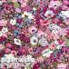LIBERTY FABRICS Liberty принт местного производства tana заем ткань ( Eternal )<Thorpe>( мыло )[ лиловый ]3639005BE