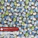  Hello Kitty × Liberty ткань s местного производства tana заем ткань <Apple Tree>( Apple * tree )[ голубой ]DC27538-J27B