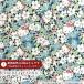  Hello Kitty × Liberty ткань s местного производства tana заем ткань <Kakurenbo>(kak Len bo)[ голубой серый ]DC27541-J27B