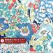  Hello Kitty × Liberty ткань s местного производства tana заем ткань <Peek A Boo>(pi-k*a*b-)[ голубой ]DC27621-J27D