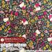  Hello Kitty × Liberty ткань s местного производства tana заем ткань <Strawberry Field>( клубника * поле )[ древесный уголь чёрный ]DC27771-J13D