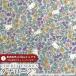  Hello Kitty × Liberty ткань s местного производства tana заем ткань <Strawberry Field>( клубника * поле )[ лиловый × серый ]DC27771-J27B