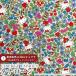  Hello Kitty × Liberty ткань s местного производства tana заем ткань <Strawberry Field>( клубника * поле )[ зеленый × красный ]DC27771-J27D