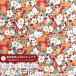  Hello Kitty × Liberty * ткань s матирующий ламинирование <Kakurenbo>(kak Len bo)[ orange ]MATLAMI-DC27541-J27D