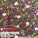  Hello Kitty × Liberty * ткань s матирующий ламинирование <Strawberry Field>( клубника * поле )[ древесный уголь чёрный ]MATLAMI-DC27771-J13D