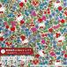  Hello Kitty × Liberty * ткань s матирующий ламинирование <Strawberry Field>( клубника * поле )[ зеленый × красный ]MATLAMI-DC27771-J27D