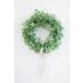 グリーンリーフ リース  お花 リース  コベントガーデン  LD-04
