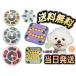 1000 jpy .... nose Work puzzle nose Work toy nose Work dog intellectual training toy toy cat .tore. meal . prevention -stroke less bite separation un- cheap 