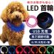  собака ошейник светится цвет домашнее животное кошка LED свет маленький размер средний большой заряжающийся 