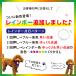 �� ��� ���� �J���[ �y�b�g �L LED ���C�g ���^ ���^ ��^ �[�d�� �֘A�摜2