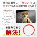 �� ��� ���� �J���[ �y�b�g �L LED ���C�g ���^ ���^ ��^ �[�d�� �֘A�摜4
