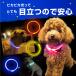 �� ��� ���� �J���[ �y�b�g �L LED ���C�g ���^ ���^ ��^ �[�d�� �֘A�摜5