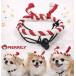 �˂���͂��܂� �n�`�}�L ���p �X�q ���Ղ� �n�b�s ���� �ʔ��� �S���t�� �E���ɂ��� ���^�� ���^�� ��^�� �֘A�摜2