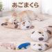  собака кошка для ....TOY подушка для подбородка собака для .... bed подушка домашнее животное bed собака кошка маленький размер собака средний собака симпатичный kapi роза пингвин подушка летний постельные принадлежности . днем .... .