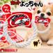 �ʉَq�������� �J�b�g�������� ���E���h���[�v�g�C ���̂������� �y�b�g�g�C ���[�v�g�C   ����������� ���p���[�v�g�C ���^�� ���^�� �X�g���X����