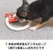 �ʉَq�������� �J�b�g�������� ���E���h���[�v�g�C ���̂������� �y�b�g�g�C ���[�v�g�C   ����������� ���p���[�v�g�C ���^�� ���^�� �X�g���X���� �֘A�摜3