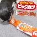 �ʉَq�������� ��тł邨������ �r�b�O�J�c �� �������� ���p�������� �y�b�g�p�������� �ʉَq�������� �������남������ �L�т邨������ �S������ �֘A�摜1