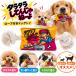 �ʉَq�������� �^���^�����Ă񂶂�ˁ[�� ���E���h���[�v�g�C ���̂������� �y�b�g�g�C ���[�v�g�C �����邨������ ���J����  ����������� ���^�� ���^��