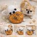 ������ ����ׂ� �������� �� ��񂱂̂������� ���̂������� �ʂ������ �� �y�b�g ���^�� �J�V���J�V���Ȃ� �ʔ��� ���p�i ���^�� ���^�� �J�V���J�V�� �֘A�摜1