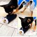 �� �m�� �������� �̂芪�� �g�C �ߋ� �m�[�Y���[�N �ʂ������ �y�b�g �`���� ���^�� �� �� ���� ����� ���p�������� �m��ߋ� �ߕ� �b���� �֘A�摜2