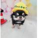 安全第一ヘルメット　S　犬用　犬　帽子　被り物　写真撮影　小型犬　チワワ　プードル　ヨーキー　おもしろい　リアル