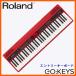 Roland ローランド ポータブルキーボード GO KEYS (61鍵電子キーボード)