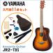 YAMAHA �~�j�A�R�[�X�e�B�b�N�M�^�[ ����11�_�Z�b�g JR2 TBS �^�o�R�u���E���T���o�[�X�g �q���p�~�j�M�^�[ ���}�n