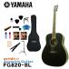 YAMAHA акустическая гитара начинающий 15 позиций комплект FG820 BL Yamaha 