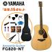 YAMAHA акустическая гитара начинающий 15 позиций комплект FG820 NT Yamaha 