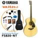 YAMAHA акустическая гитара начинающий комплект полнота 15 позиций комплект FS820 NT Yamaha введение для 