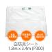 �y10���Z�b�g�z���h���V�[�g�@1.8m x 3.4m (P300)