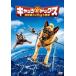 [ б/у ] Cat's tsu& собака s земля максимальный. лапа большой война / DVD( obi нет )