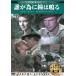 [ б/у ].. поэтому . колокольчик. ../ DVD( obi нет )