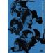 [ б/у ]1st LIVE TOUR 2006~Heart.Mind and Soul~ ( Tohoshinki ) / DVD( obi нет )