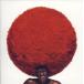 šSOUL TREE ~a musical tribute to toshinobu kubota~ (CCCD)  /  ˥ХӤ