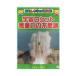 [ б/у ] интересный Kids DVD нет -слойный сила. тайна ( obi нет )