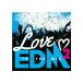 ����š�LOVE EDM 2-IN THE MIX- / ����˥Х����Ӥʤ���