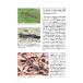 ��6���@�����ށE঒��ސ��G���wCaudata�i�J�E�_�[�^�j�x�����W�F�i�~�w�r���y�����w��s�l�R�|�X�ւ̂݁A��������s�z �֘A�摜3