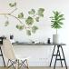 RoomMates RMK4080GM Leaf Twig Peel And Stick Giant Wall Decals Green ʿ͢