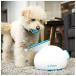iFetch Inter active ball Lancia - dog for - small size tennis ball [] flat line import flat line import 