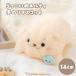 shi........meruti рука клей эмблема 14cm нежный мягкая игрушка pe let ввод рука клей эмблема .. эмблема маленький эмблема 