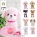  together . walk series .. Chan move soft toy dog move toy move dog. toy dog soft toy move dog toy care soft toy set 