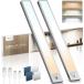 LROLTEF �L�b�`�����C�g LED�Z���T�[���C�g �l�� ���� Type-C�[�d�� 3�F���� ���i�K���� 40cm 2200mAh ��e�� L