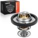 ¹͢ A-Premium Engine Coolant Thermostat Compatible with Ford F-150, F-150 Heritage, F-250, F-250 Super Duty, F-350 Super Duty, F-750, F-650  Bl